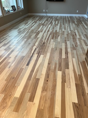 A freshly installed and finished hickory hardwood floor spanning a bright open living room